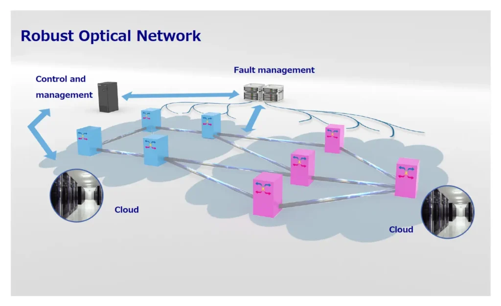 Robust Network